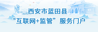“互聯網+監管”門戶